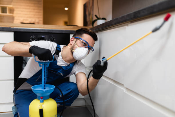 Best Rat Extermination Near Me  in New Paris, OH