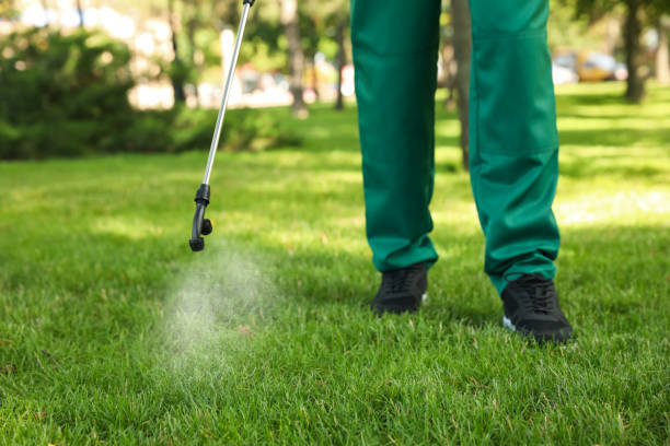 Best Wildlife Control Services  in New Paris, OH