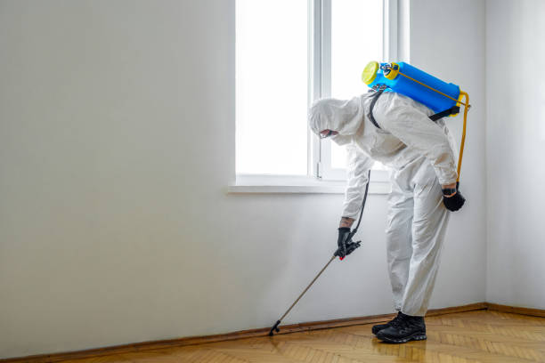 Best Pest Control Near Me  in New Paris, OH