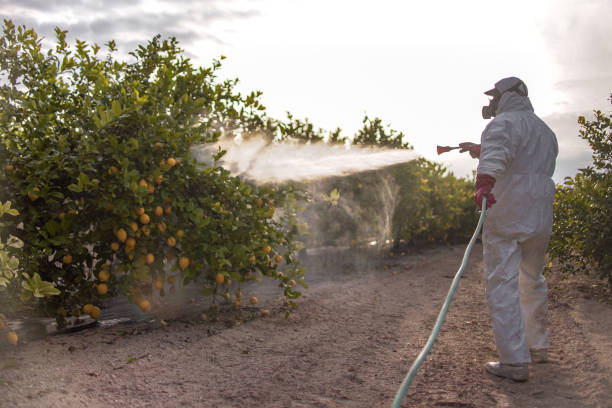 Best Pest Removal Services  in New Paris, OH
