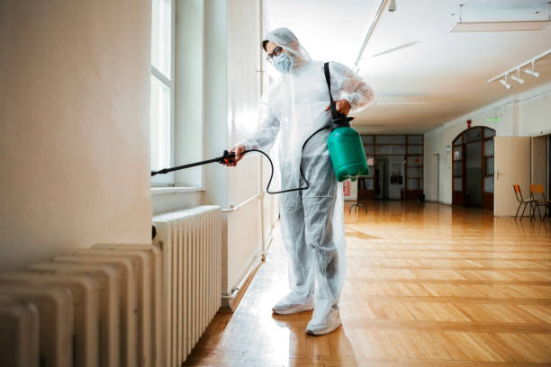 Best Cockroach Control Services  in New Paris, OH