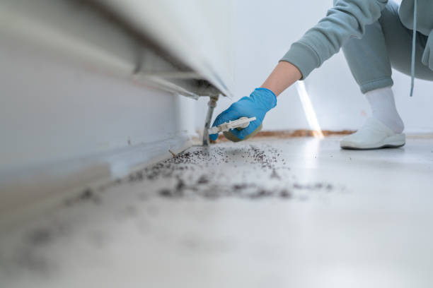 Pest Prevention Services in New Paris, OH