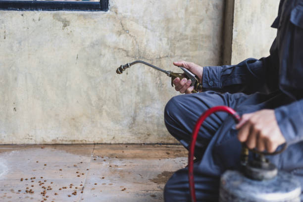 Best Affordable Pest Control Services  in New Paris, OH